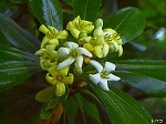 20070514k09.jpg