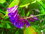 20070514k14.jpg