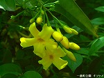 20070514k15.jpg