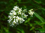 20070514k19.jpg