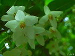 20070514k20.jpg