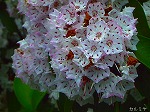 20070518s01.jpg