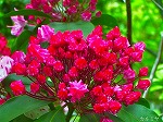 20070518s02.jpg