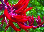 20070518s03.jpg