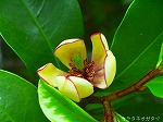 20070518s04.jpg