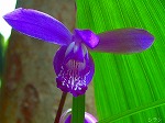 20070518s05.jpg
