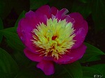 20070518s06.jpg