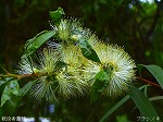 20070518s08.jpg