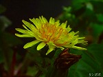 20070518s09.jpg