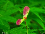 20070518s10.jpg