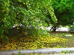 20070518s11.jpg