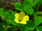 20070518s16.jpg