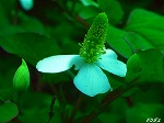 20070529k03.jpg