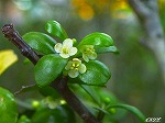 20070529k12.jpg