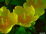 20070529k14.jpg