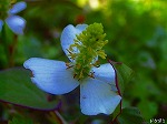 20070601t03.jpg
