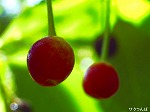 20070601t04.jpg