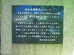 20070601t12.jpg