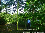 20070601t15.jpg