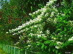 20070601t17.jpg