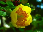 20070601t20.jpg