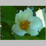 20070612k01.jpg