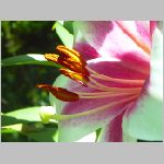 20070612k08.jpg