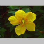20070613k01.jpg