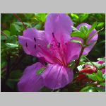20070613k02.jpg