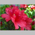 20070613k08.jpg