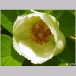 20070617m10.jpg