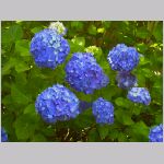 20070617m11.jpg
