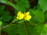 20070726k12.jpg