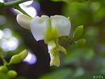 20070726k14.jpg