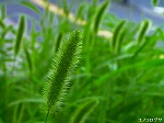 20070726k16.jpg