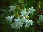 20070726k19.jpg