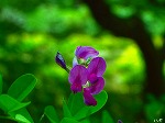 20070727k02.jpg
