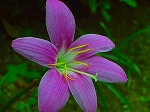 20070727k03.jpg