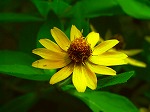 20070727k04.jpg