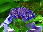 20070727k05.jpg