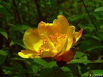 20070727k15.jpg