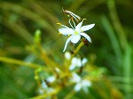 20070727k18.jpg