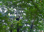 20070727k19.jpg