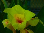 20070807tk01.jpg