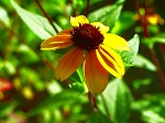 20070807tk03.jpg