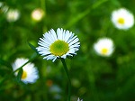 20070807tk05.jpg