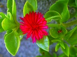 20070807tk06.jpg