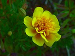 20070807tk07.jpg