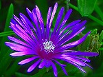 20070807tk09.jpg