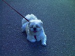 20070807tk12.jpg